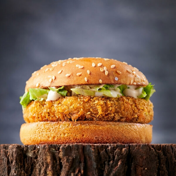 Veg Cheese Burger